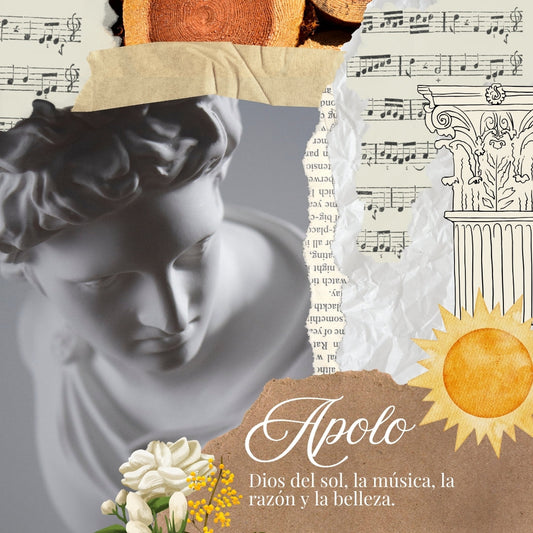 Apolo – El sol que huele a equilibrio