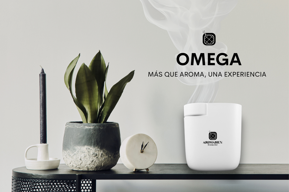 Omega vs. Difusores de Agua: La Diferencia Entre una Experiencia Premium y un Aroma Temporal