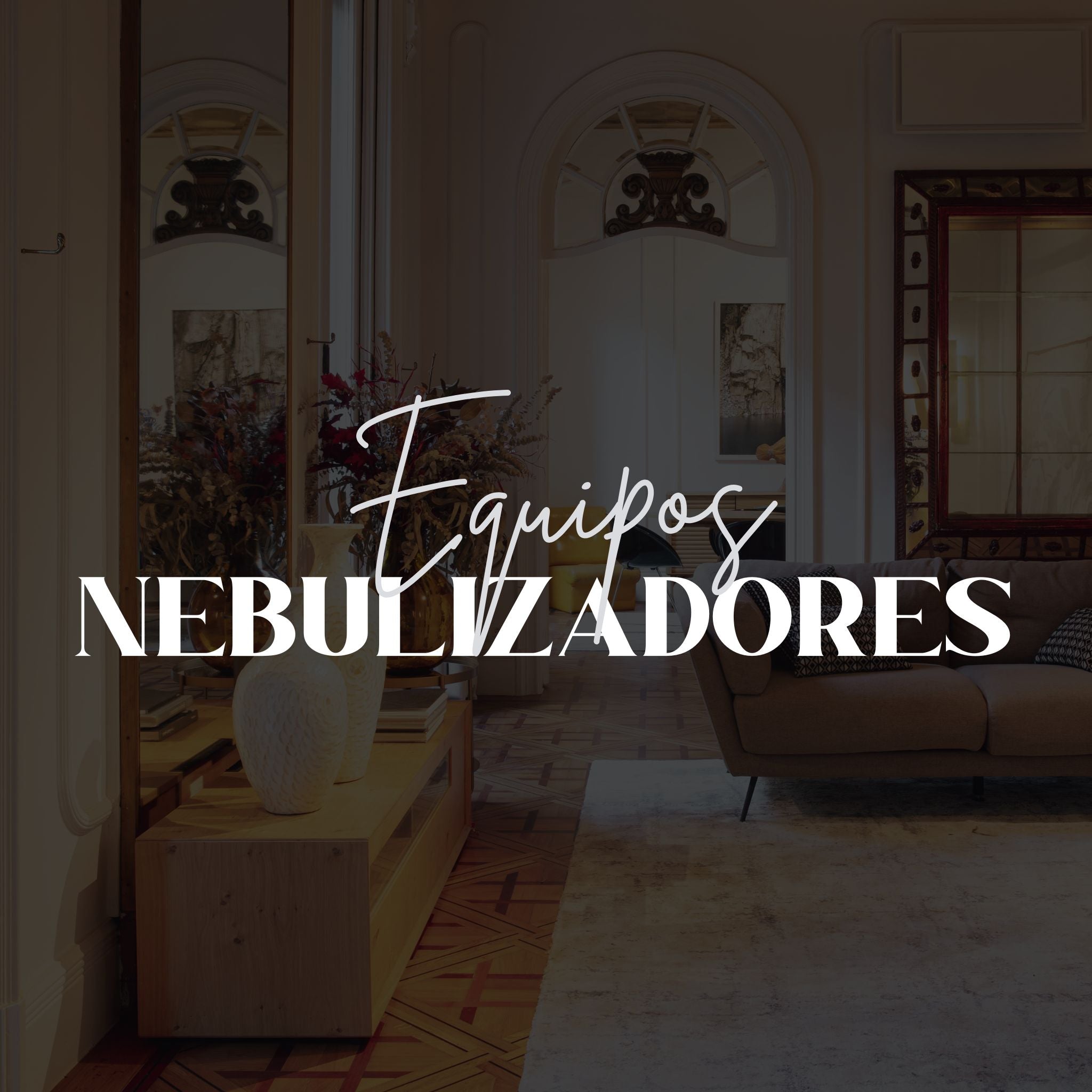 Equipos Nebulizadores