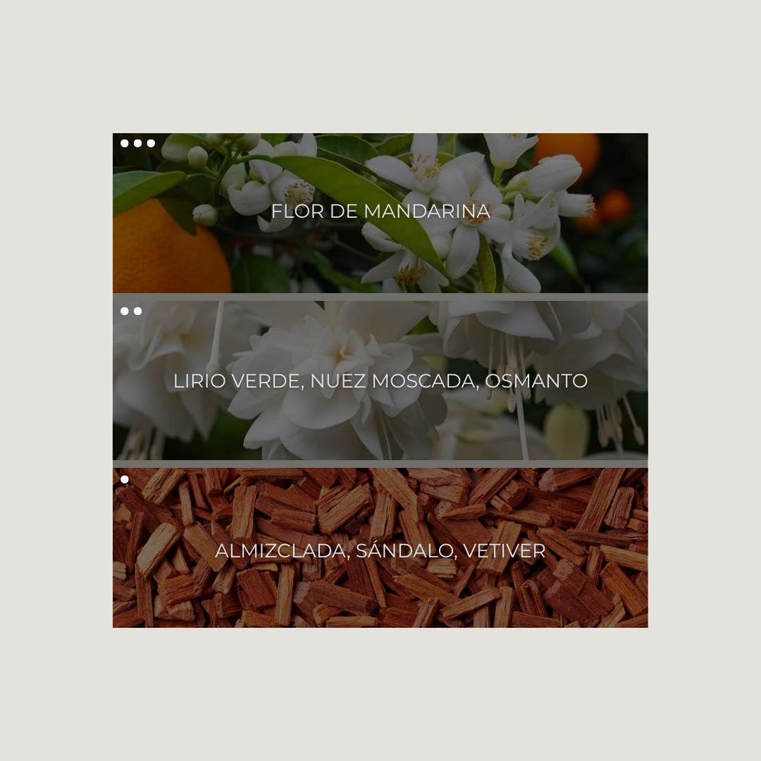 Amber Garden Nebuaroma