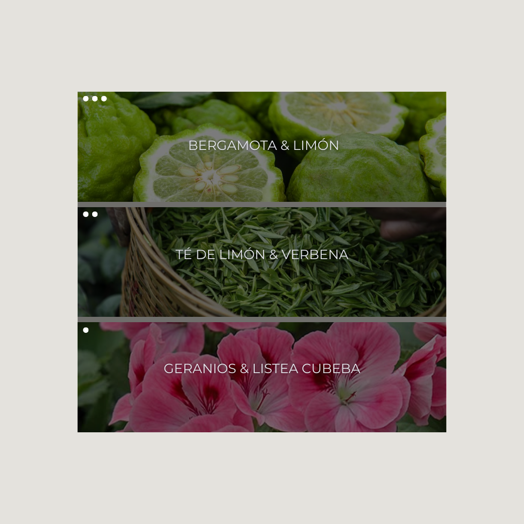 Citrus Bloom Nebuaroma
