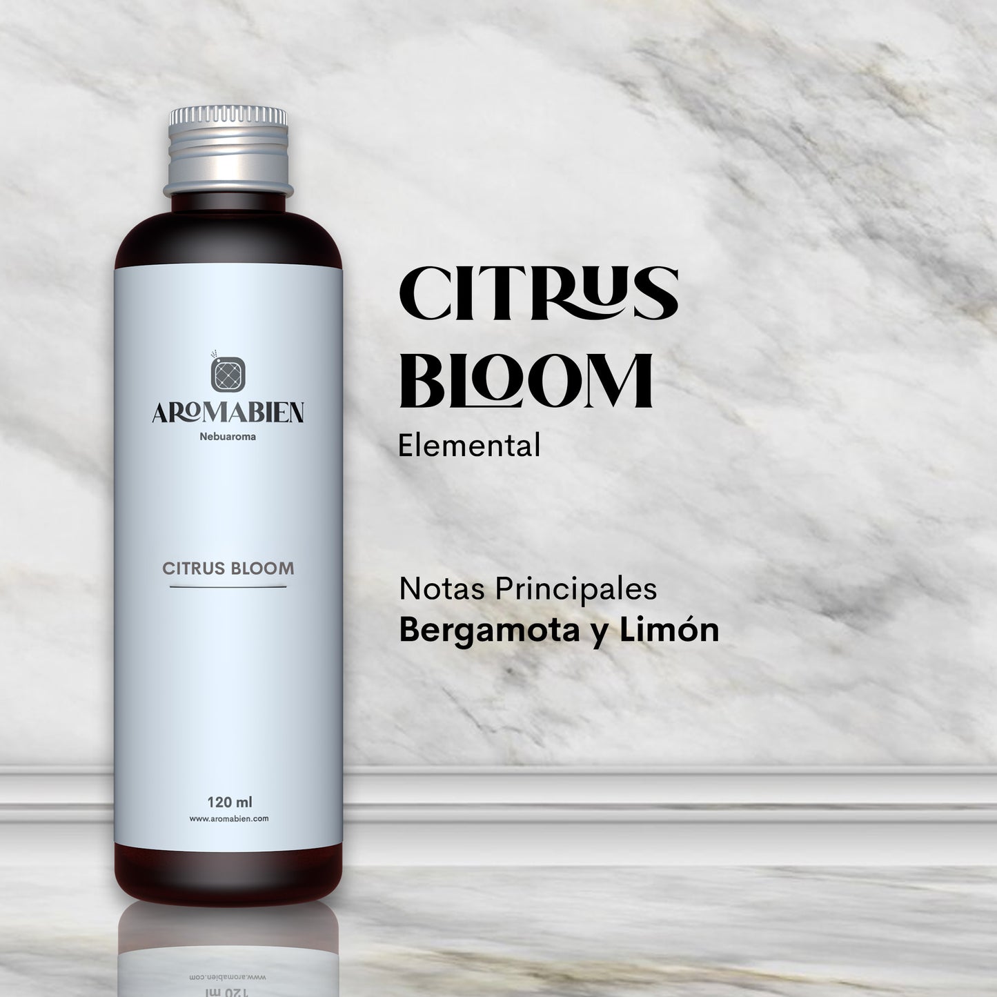 Citrus Bloom