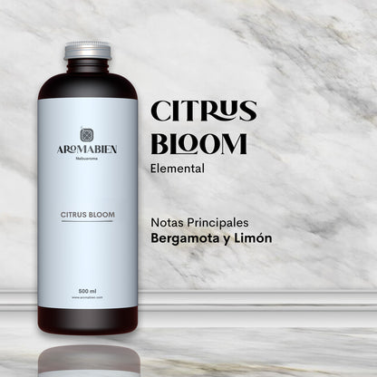 Citrus Bloom