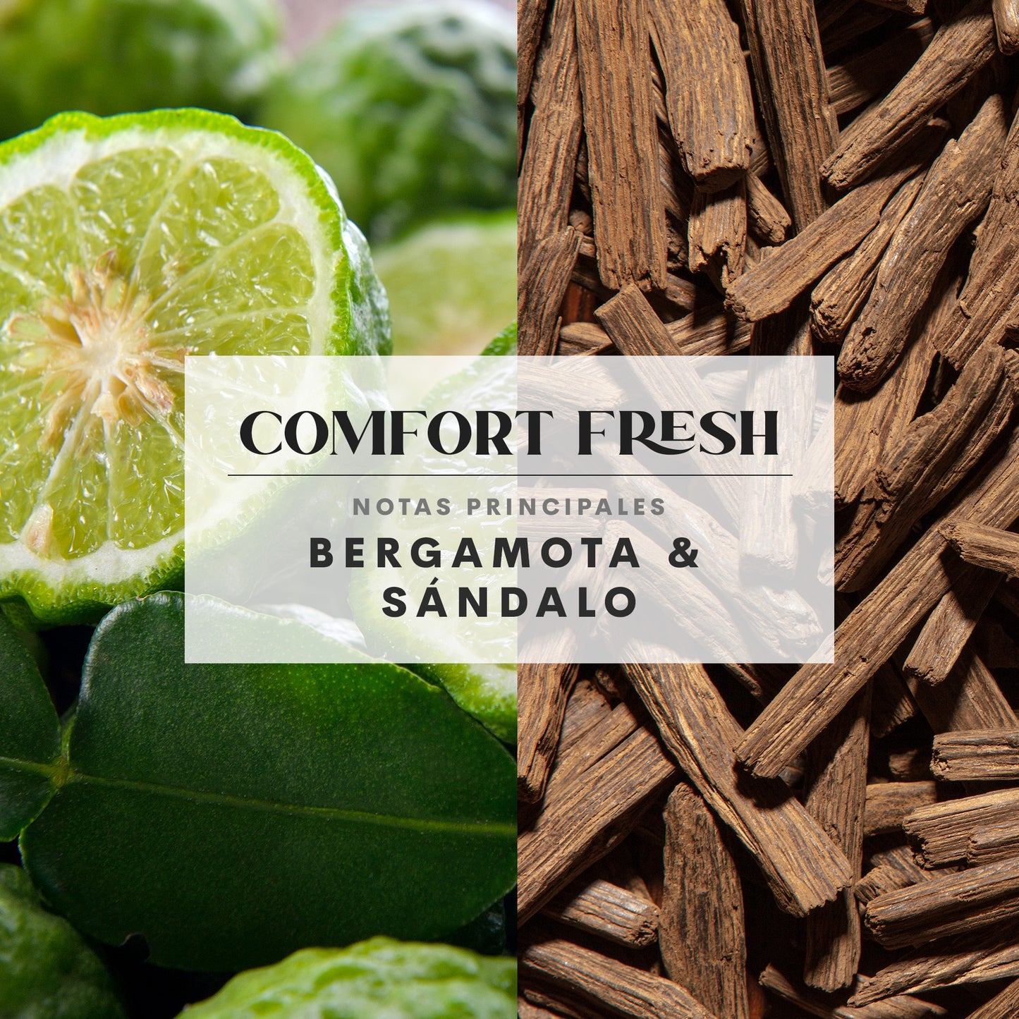 Comfort Fresh