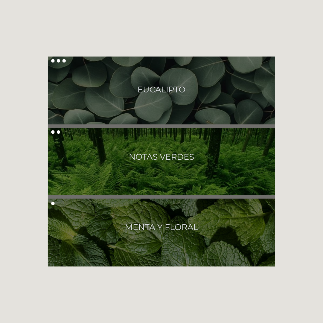 Eucalipto Room Spray