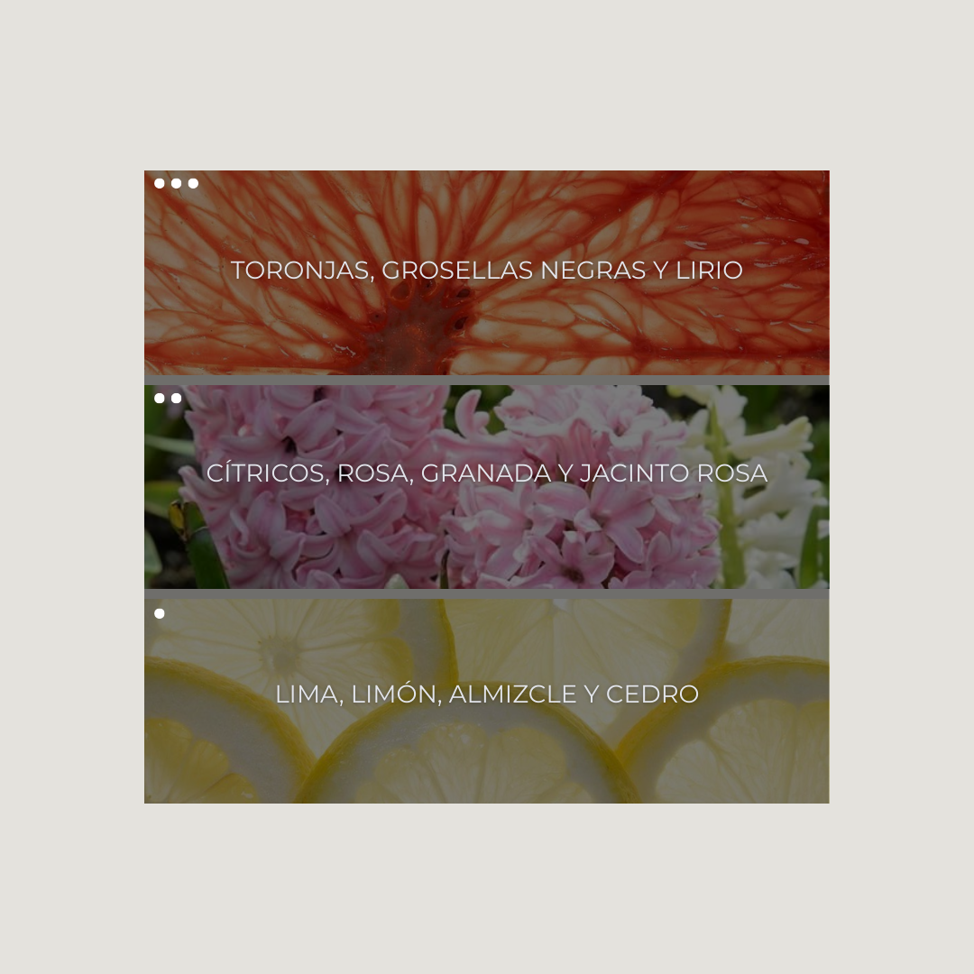 Fresh Spa Room Spray