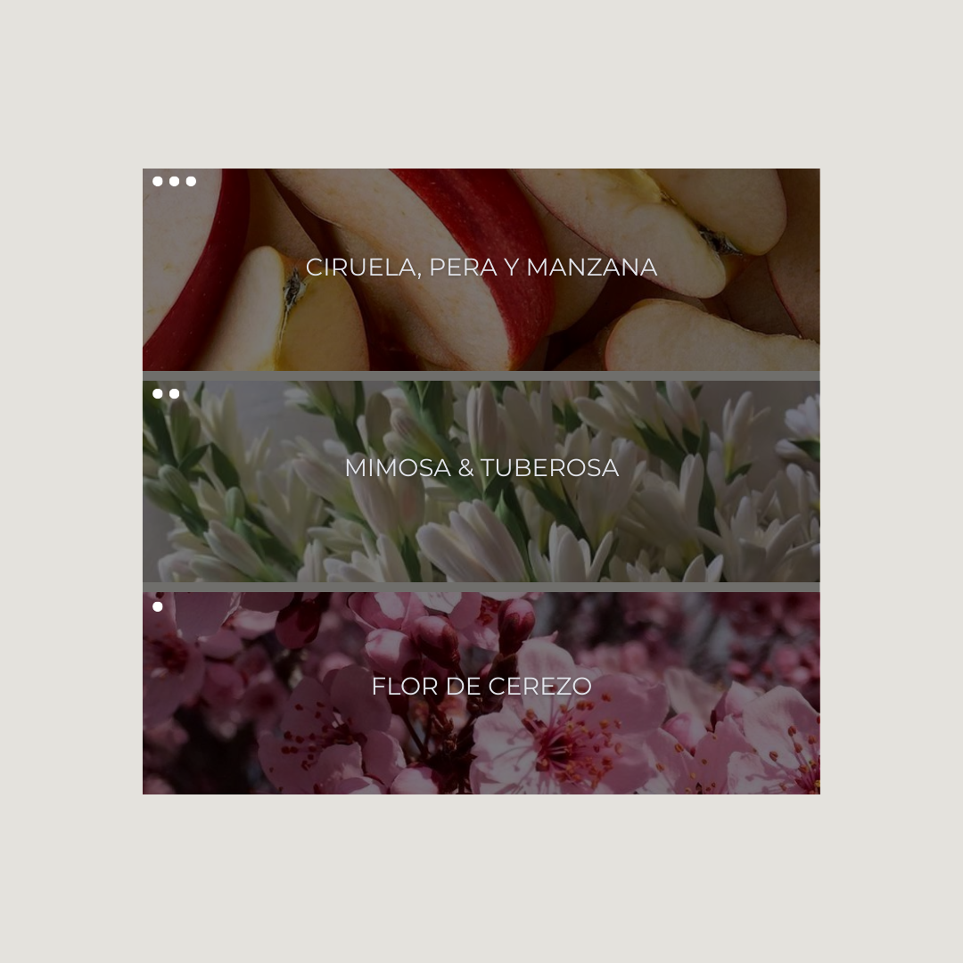 Japanese Garden Nebuaroma