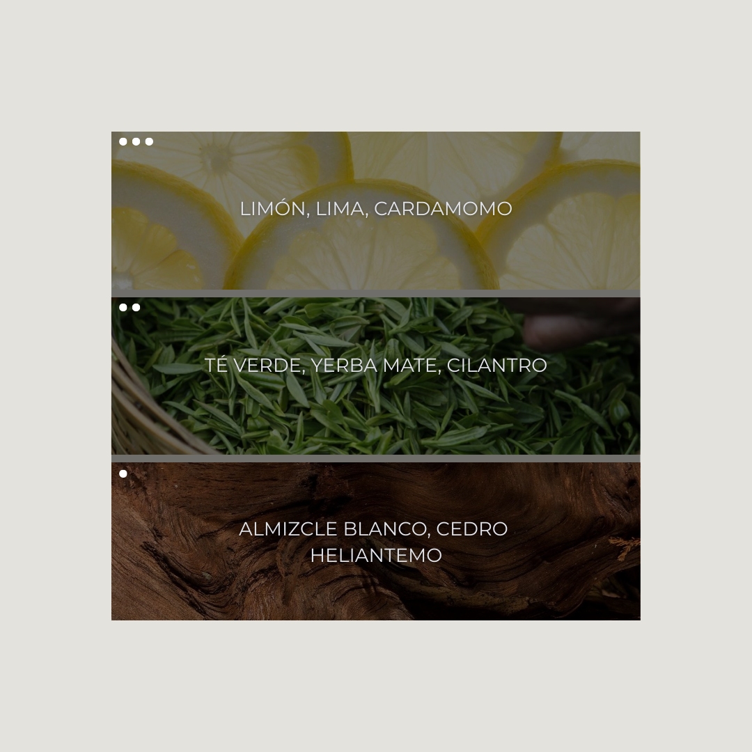 Lemon Tree Nebuaroma