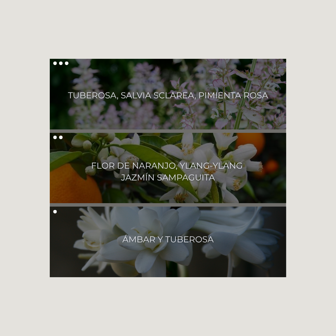 Mystic Blooms
