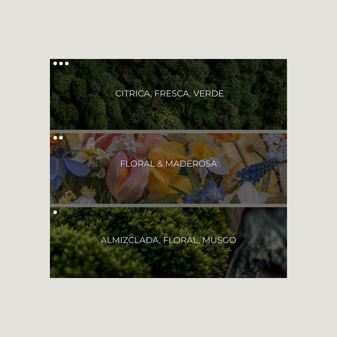 Natural Flow Nebuaroma