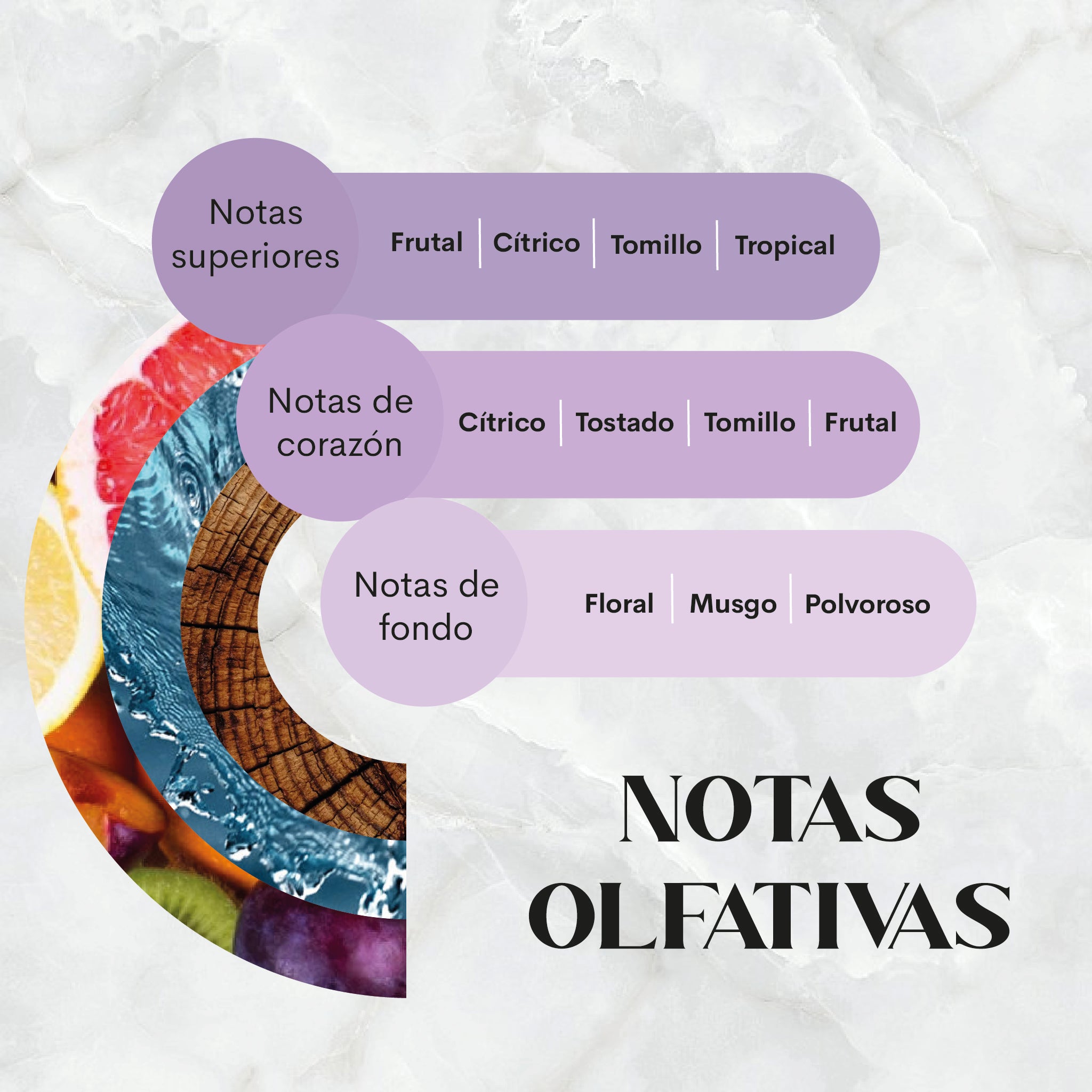 White Tea & Thyme Nebuaroma