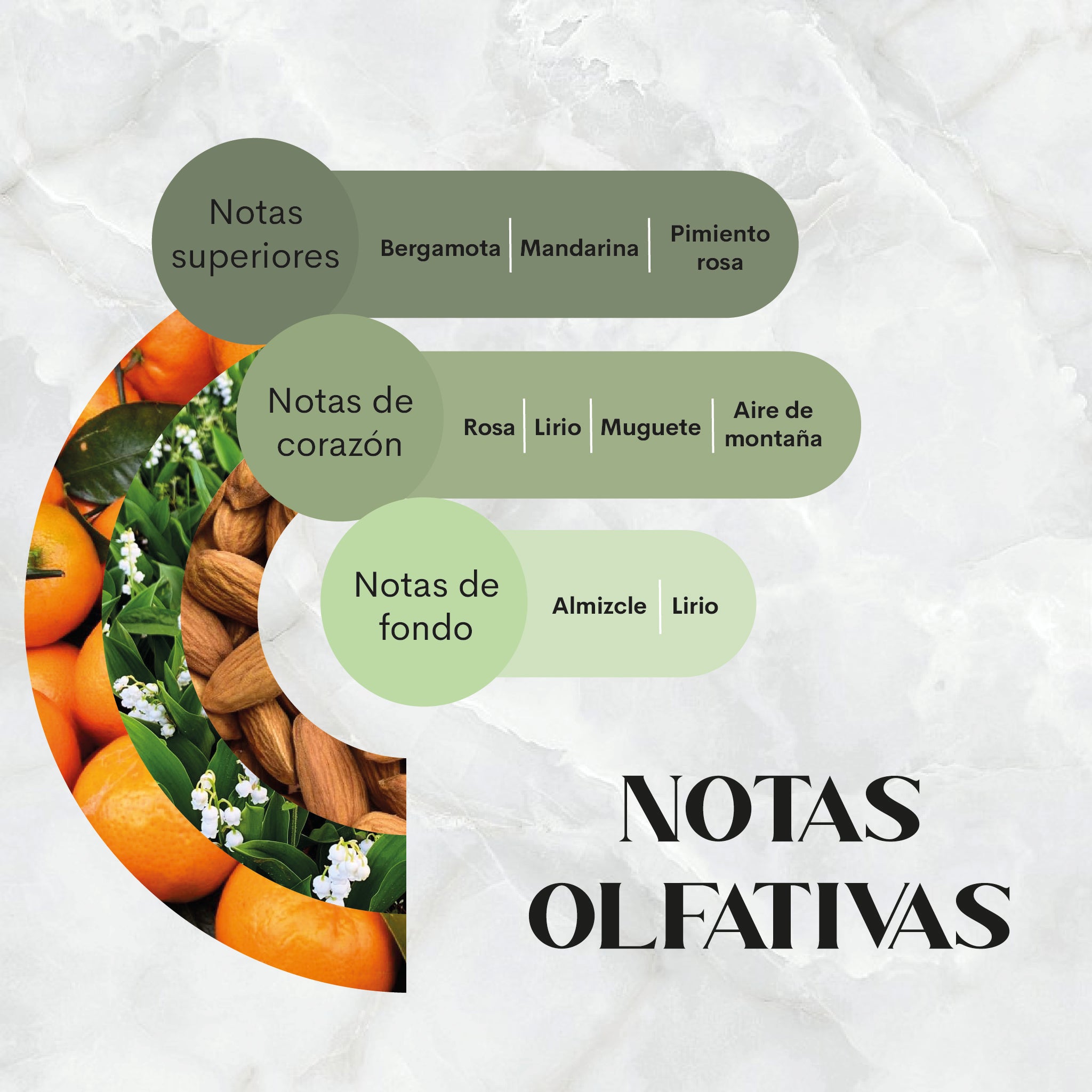 Aqua Breeze Nebuaroma