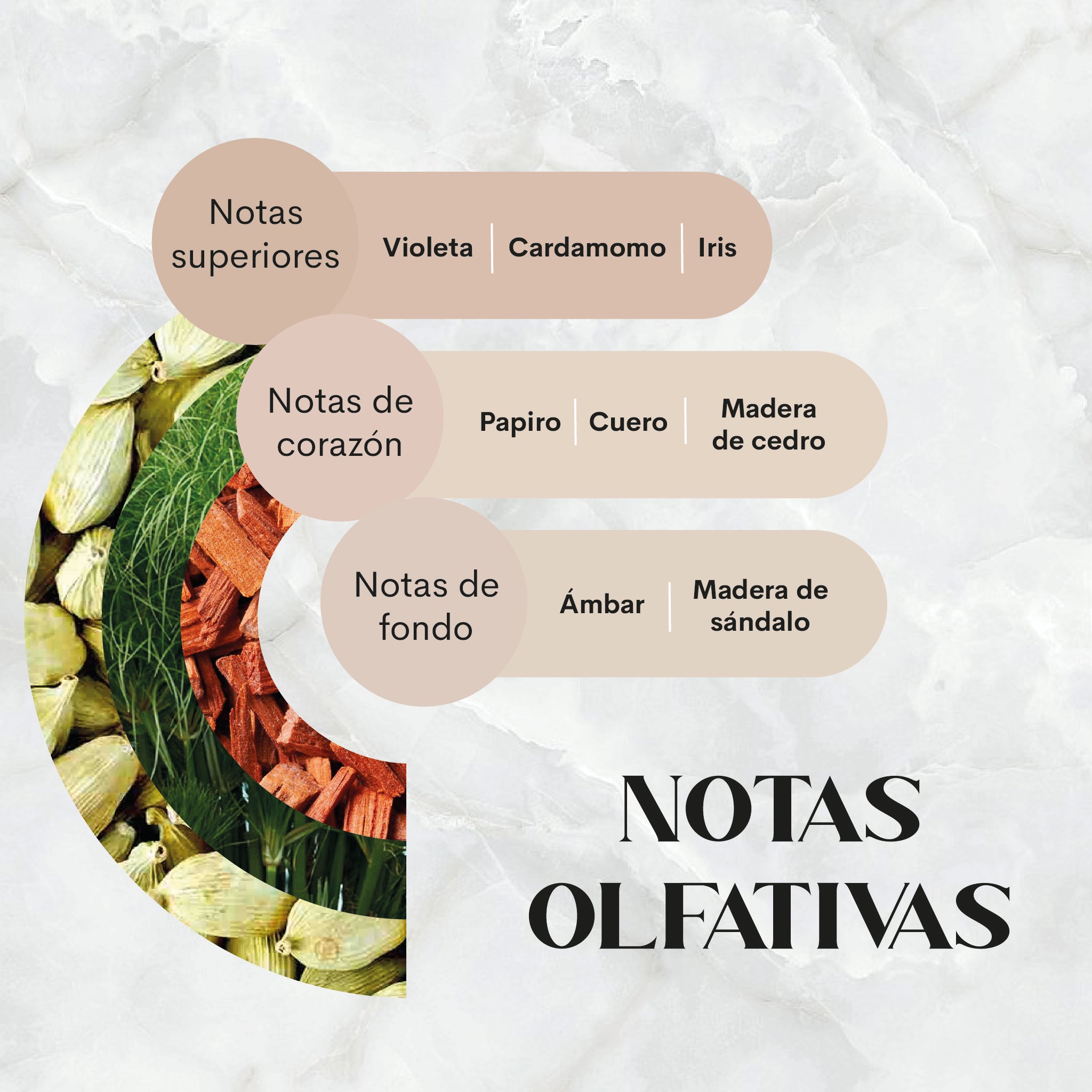 Urban Patchuli Nebuaroma