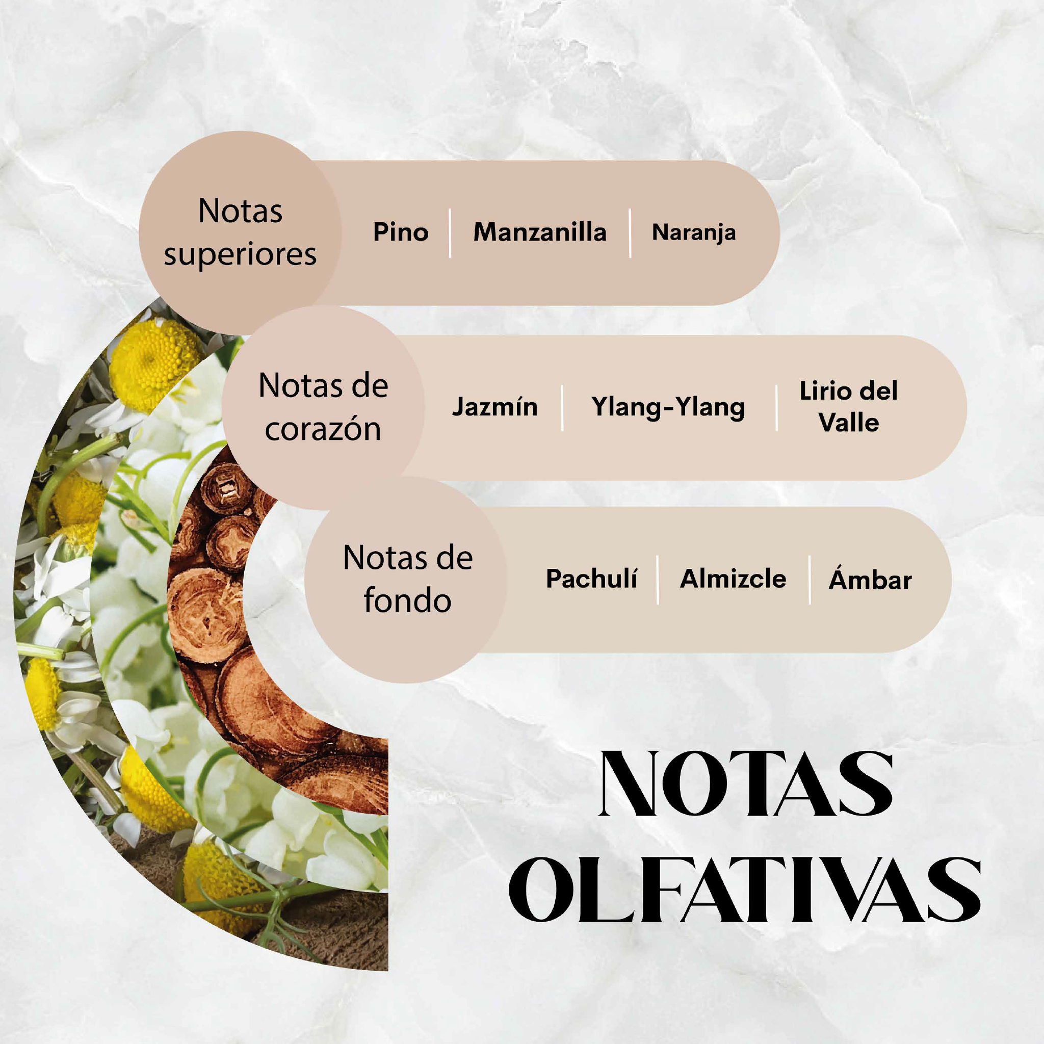 White Oasis Nebuaroma