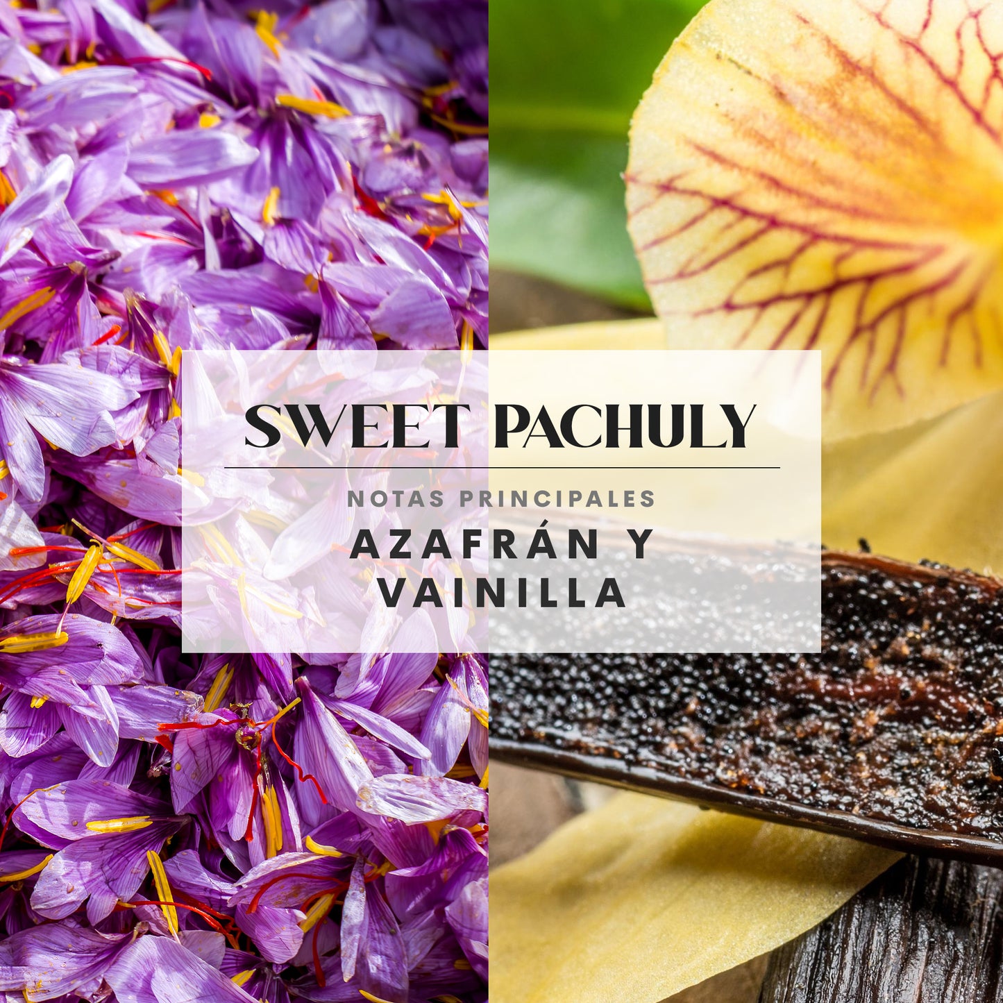 Sweet Pachuly