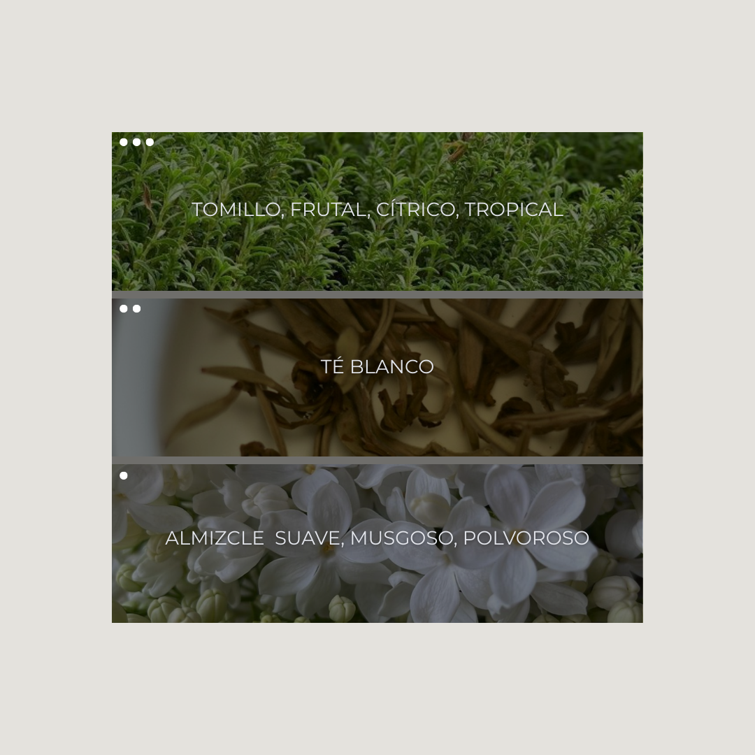 White Tea & Thyme Room Spray