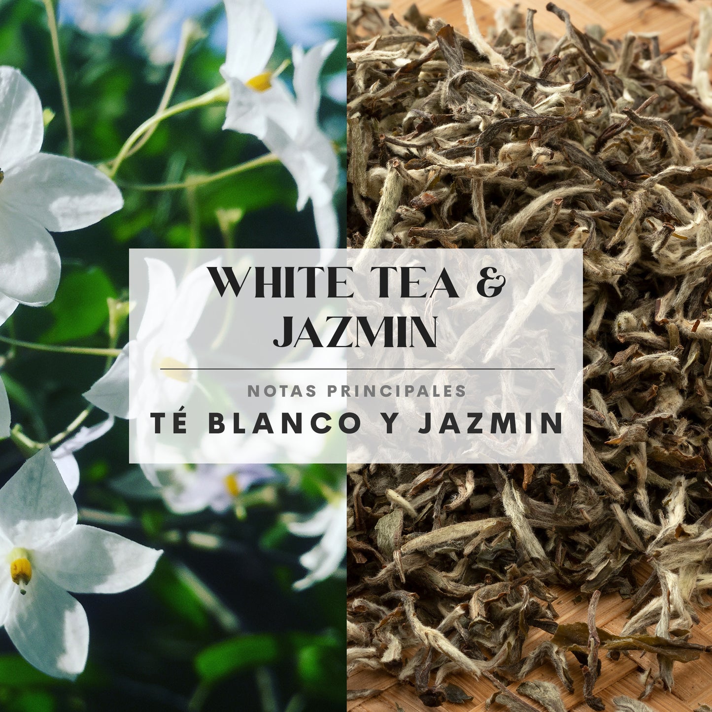 White Tea & Jazmin
