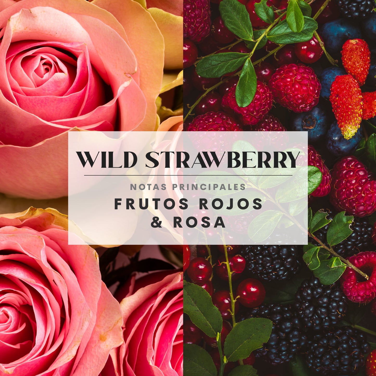 Wild Strawberry